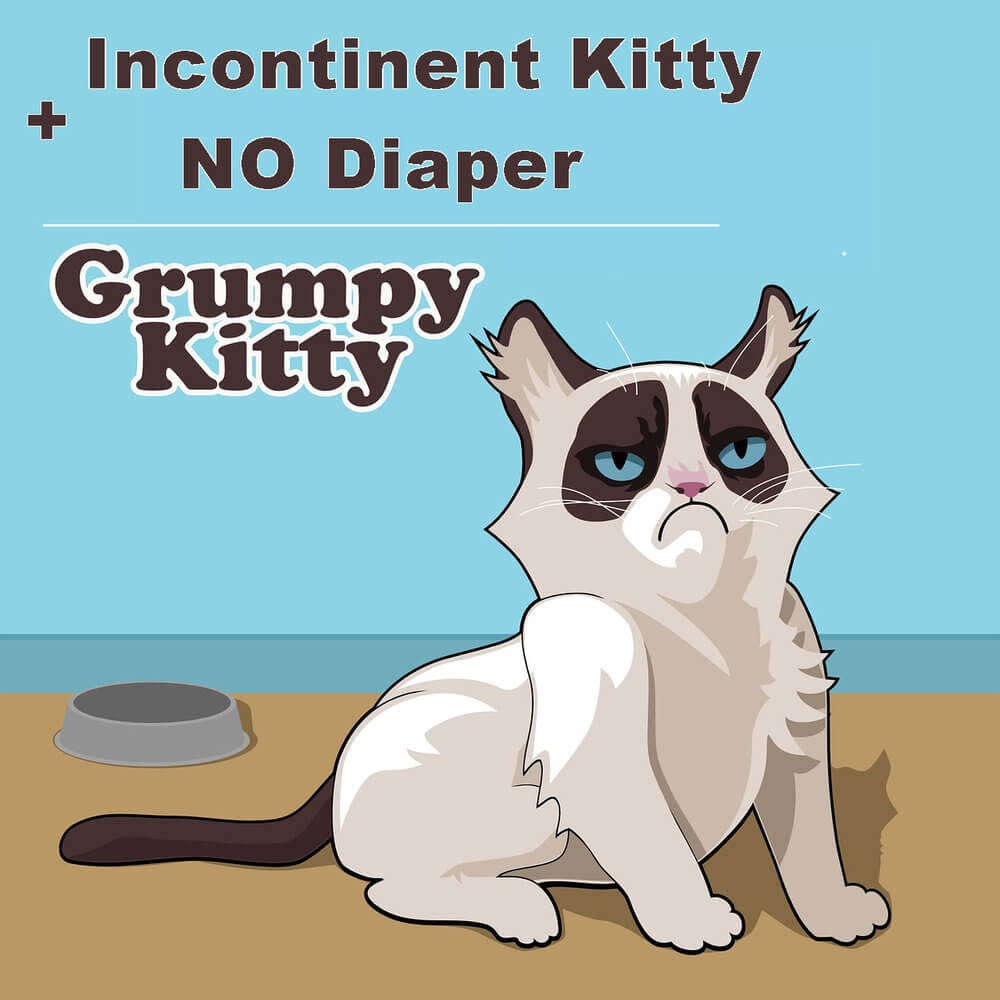 Cat Incontinence Symptoms and Causes