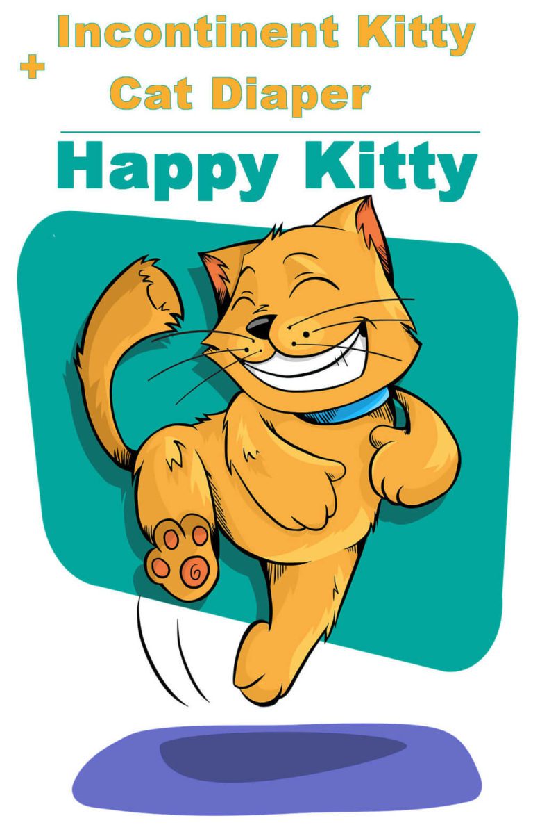 5 Reasons & Treatment Options for Cat Incontinence How To Manage...