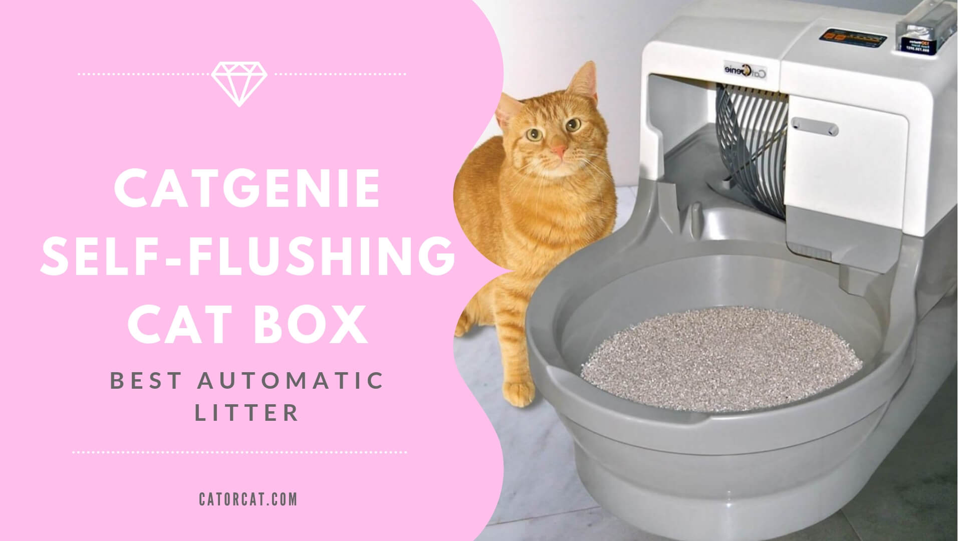 catgenie self washing self flushing cat box