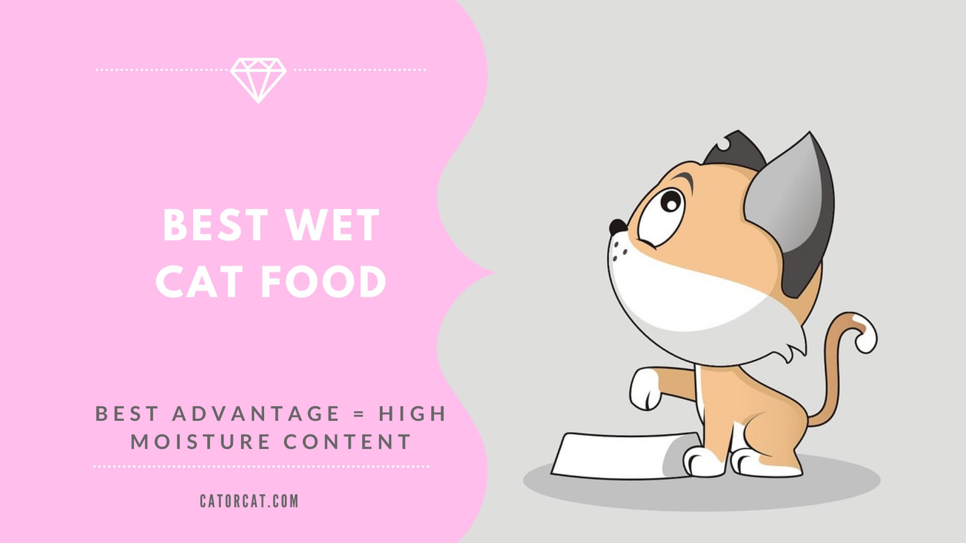 7 Best Wet Cat Foods In 2024 | Review of Quality & Affordable Cat Brands