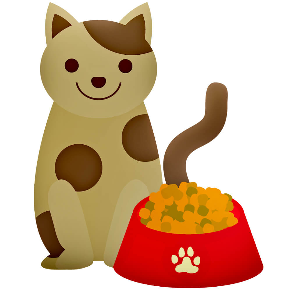 cat food water bowl