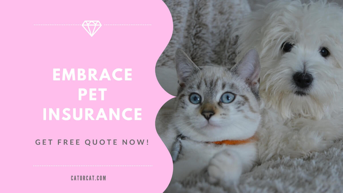 embrace pet insurance reviews