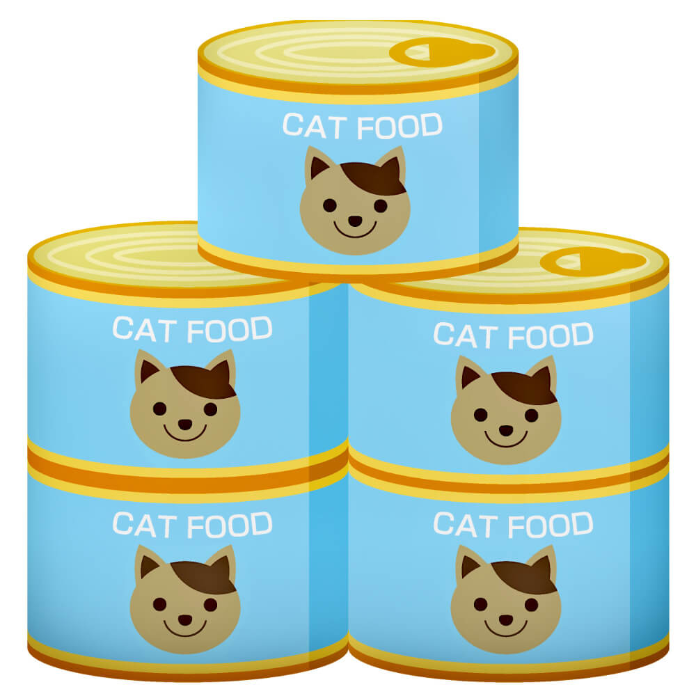 feed your cat