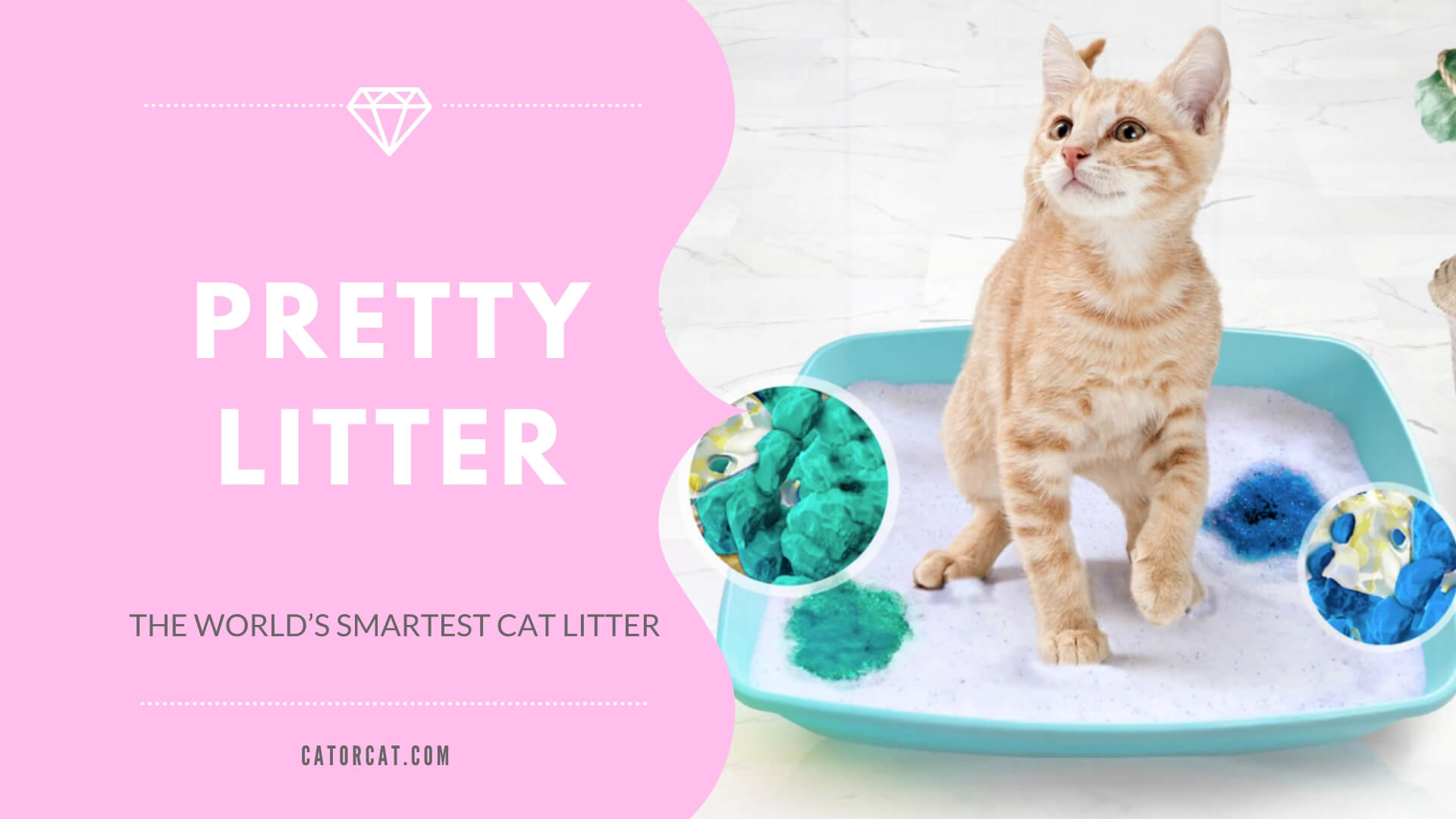 Pretty Litter Review | The World’s Smartest *Health Monitoring* Cat Litter