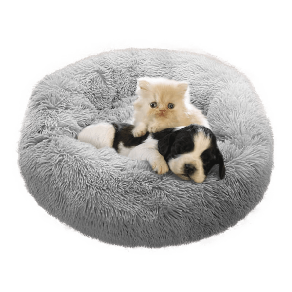 Cat and Dog Calm Bed