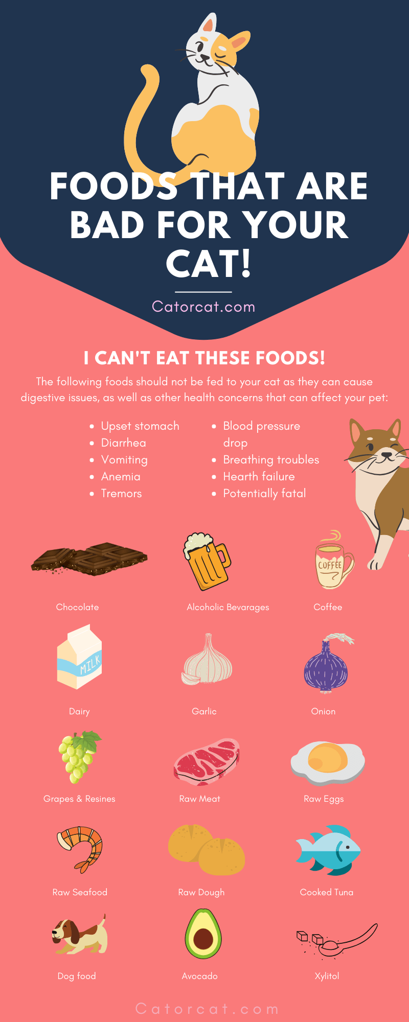 10 Dangerous Human Foods You Should Avoid Giving Your Cat Toxic 