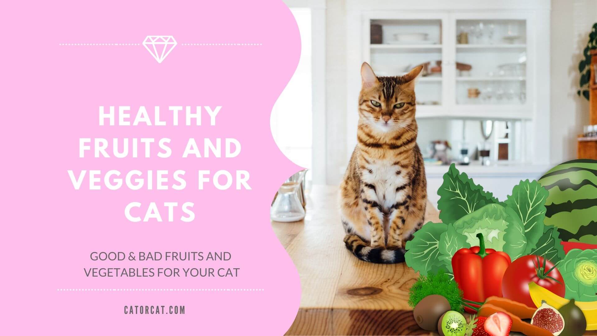 Are Fruit And Vegetables Safe For Cats 13 Safe Foods For Your Kitty