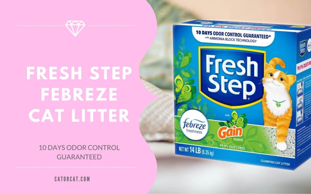 Fresh Step Febreze Freshness Gain Scented Clumping Clay Cat Litter Review