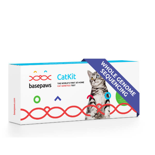 Whole Genome Sequencning cat dna test