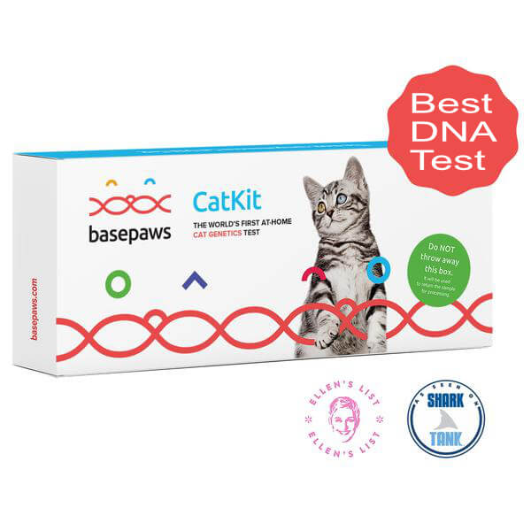breed and health cat dna kit