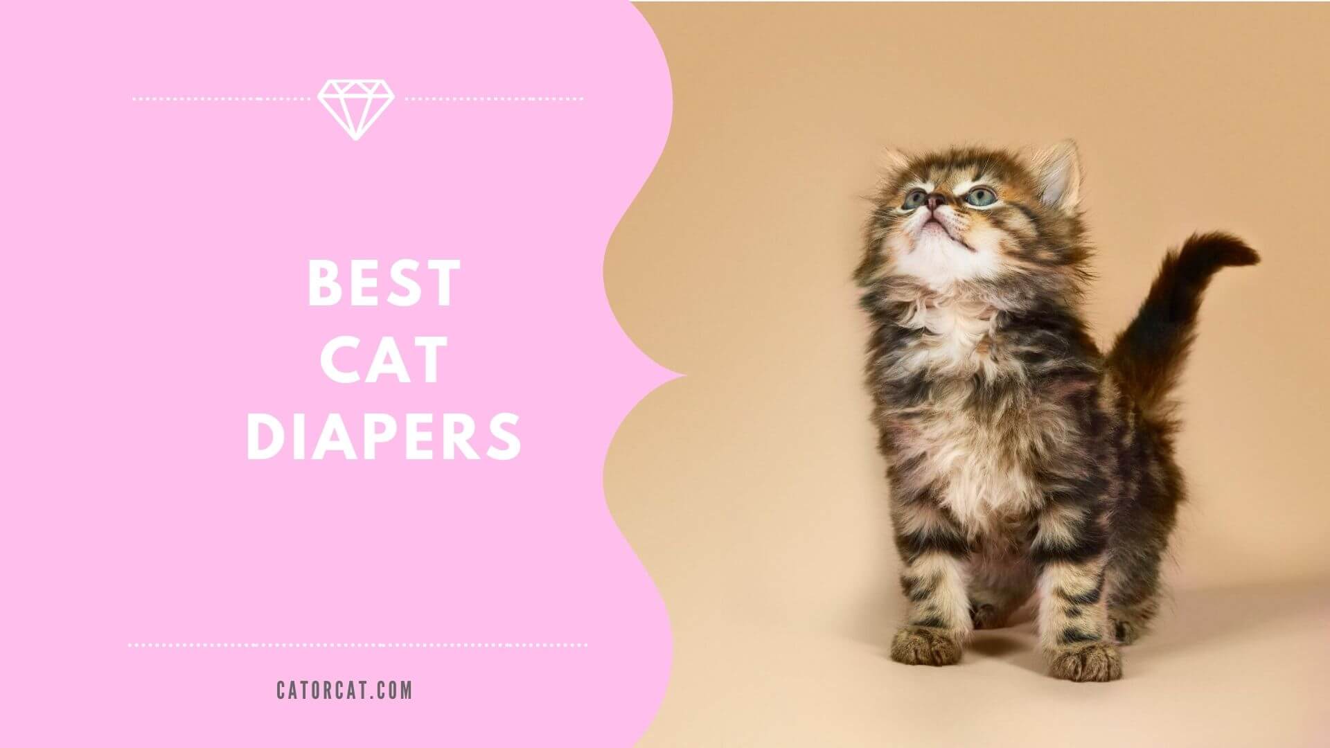best cat diapers