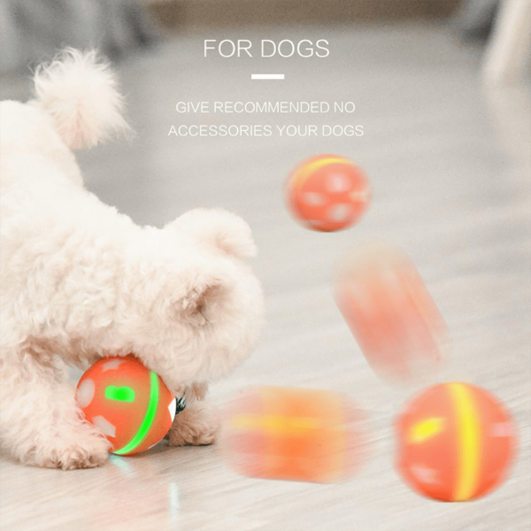 dog rolling ball toy