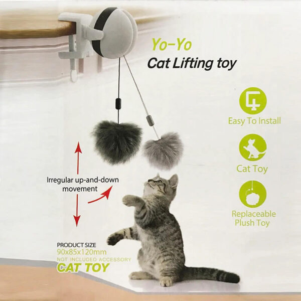 electric cat toy