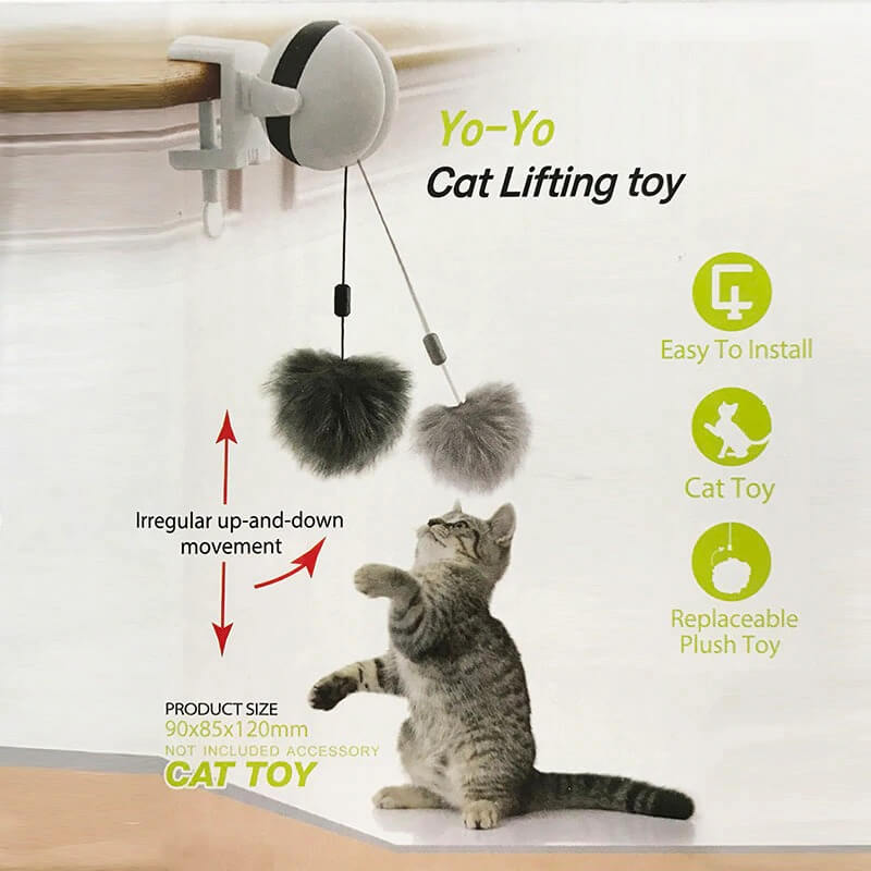 cat toy electric