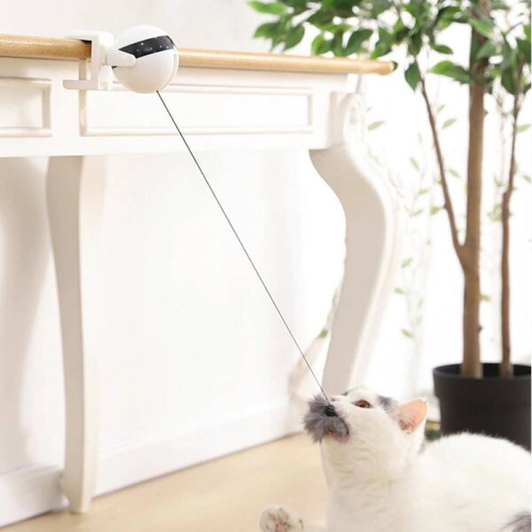electric yoyo cat