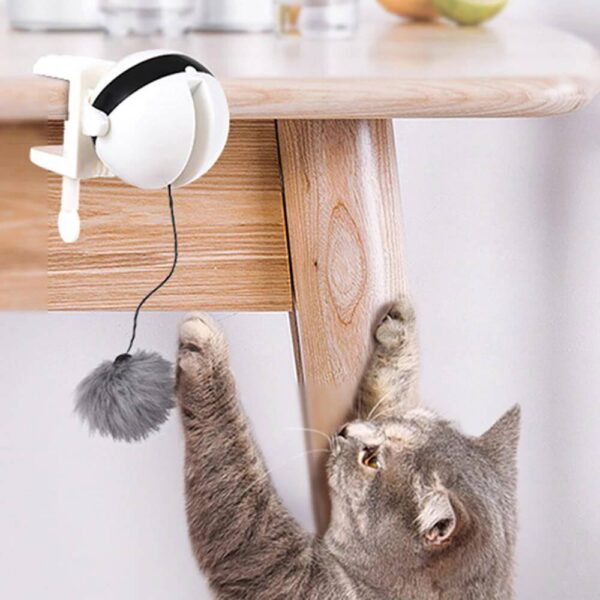 electric yoyo cat lifting toy