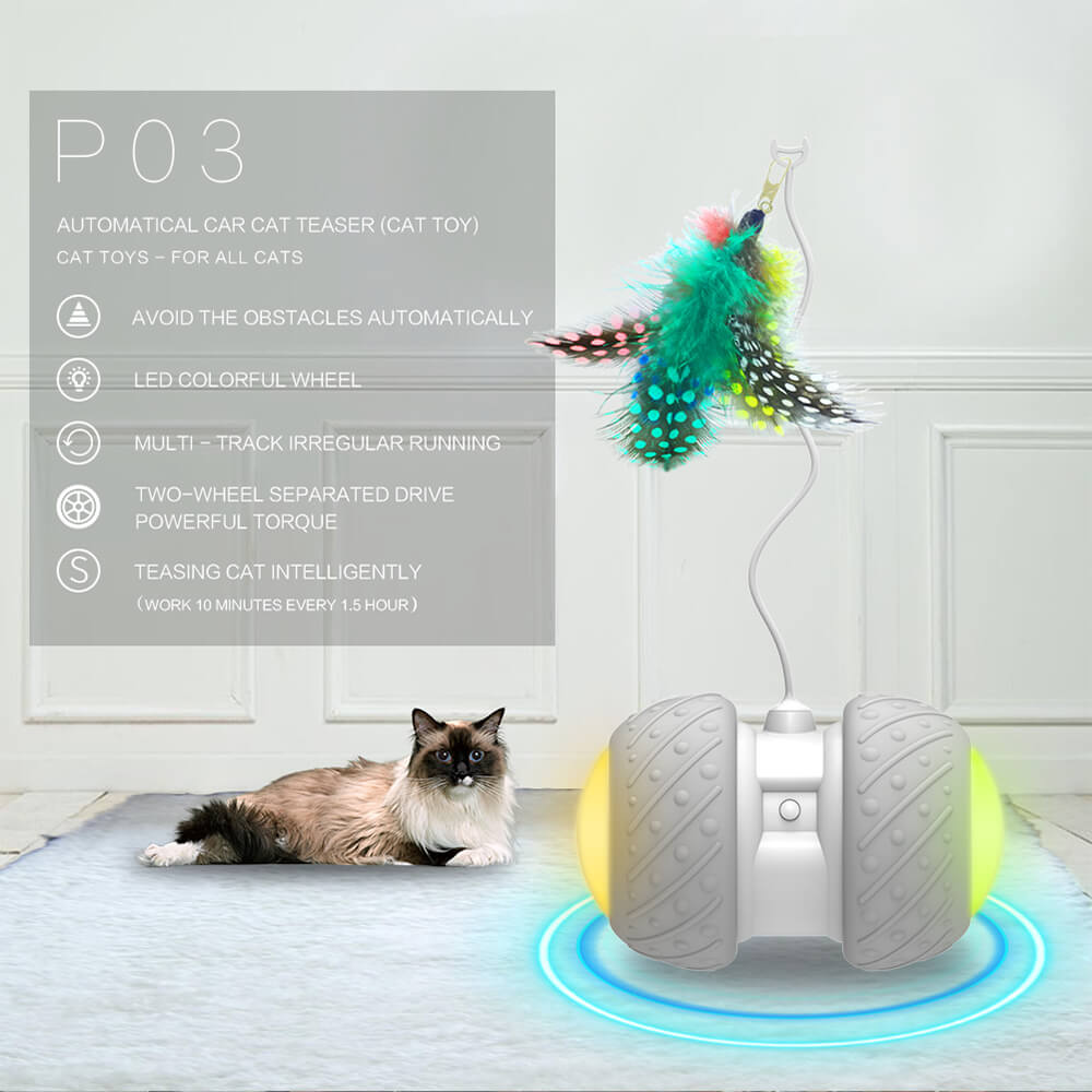 Interactive Irregular Rotating Cat Toy with Feather | USB Charged & 360Â°