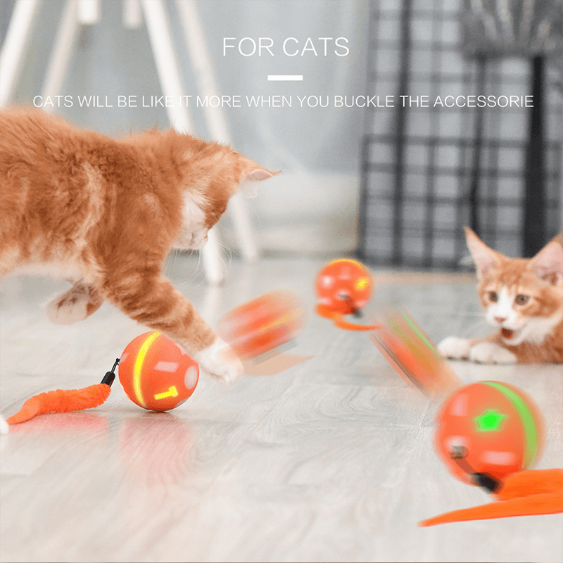 magic jumping cat ball