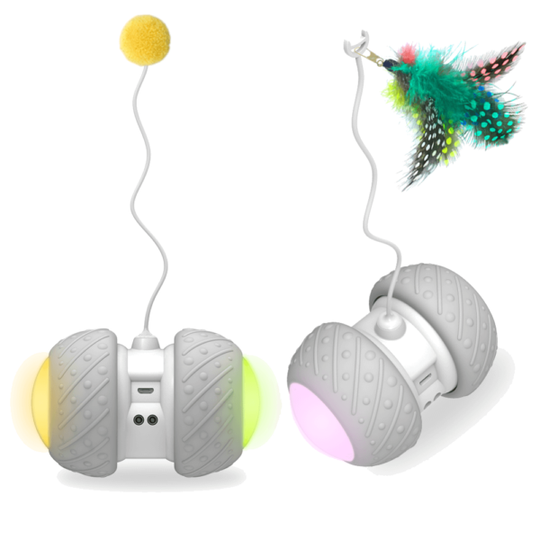 robot cat toy