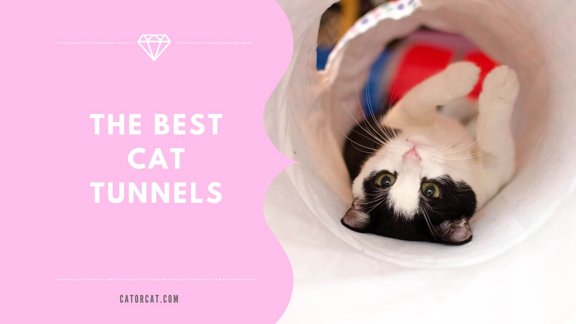 Best cat clearance tunnels