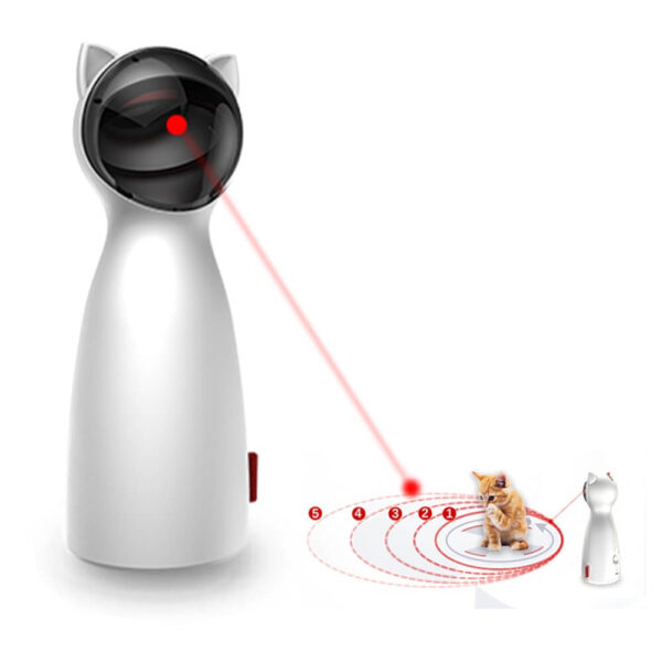 cat laser light