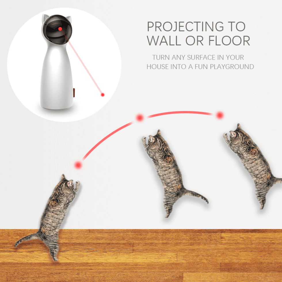 Best Automatic Laser Cat Toy in 2023 Keep Your Cat Entertained Cat