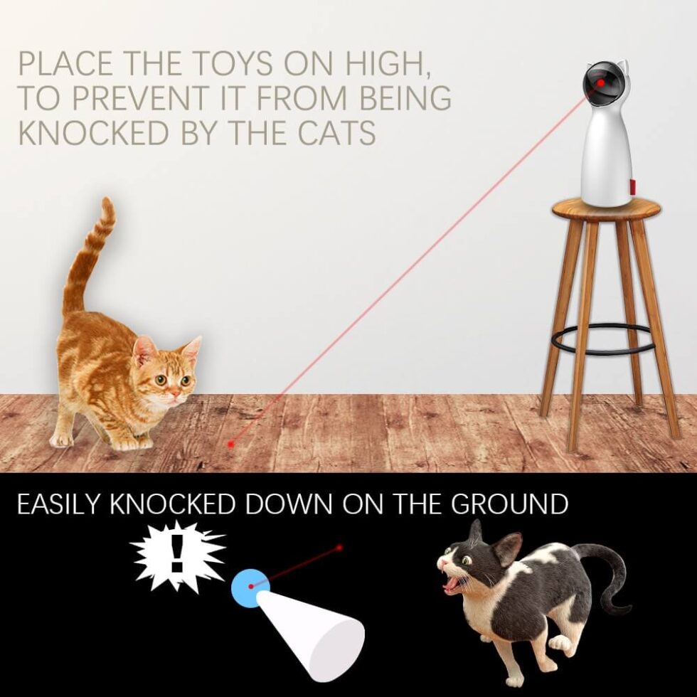 Best Automatic Laser Cat Toy in 2023 Keep Your Cat Entertained Cat