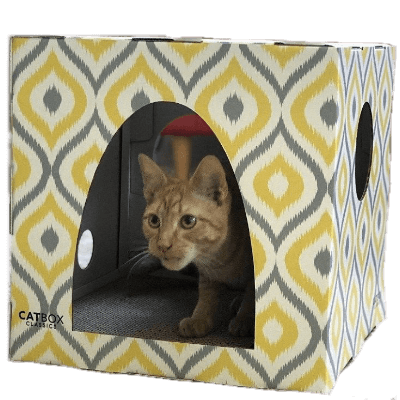 meow yellow cat house with scratcher