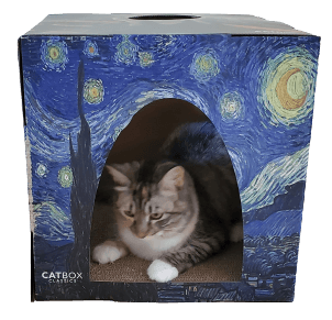 cat card box