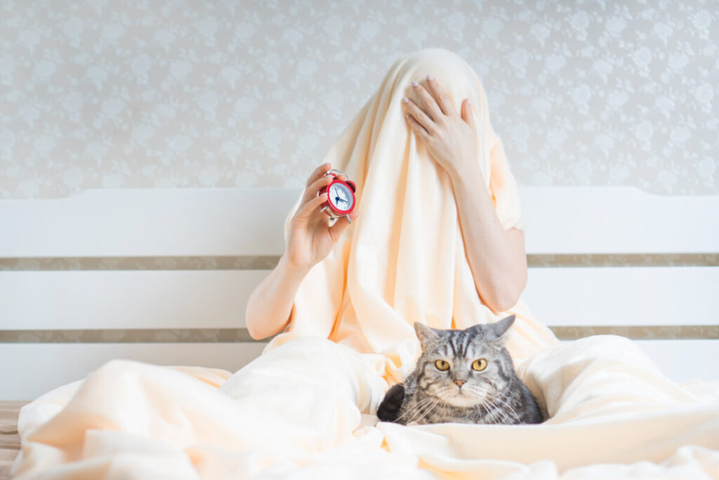 how-to-stop-your-cat-from-waking-you-up-every-morning-at-4-am-easy