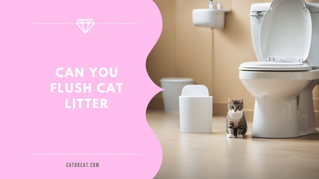 can you flush cat litter guide