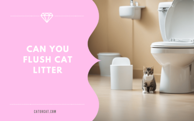 Can You Flush Cat Litter?