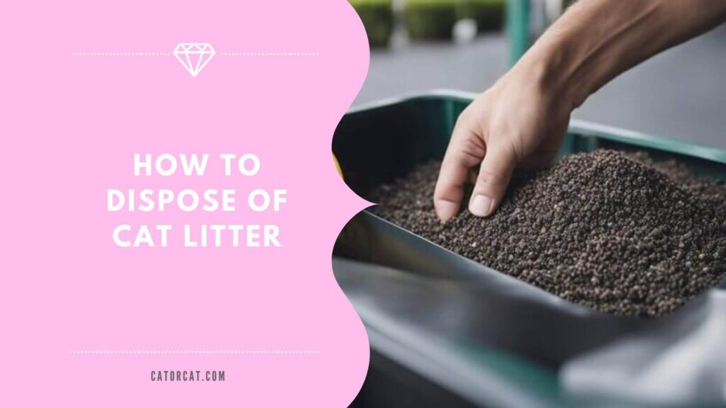 how to dispose of cat litter